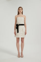 Ali Bustier Mini Dress