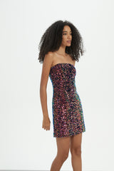 Joy Mini Sequined Dress