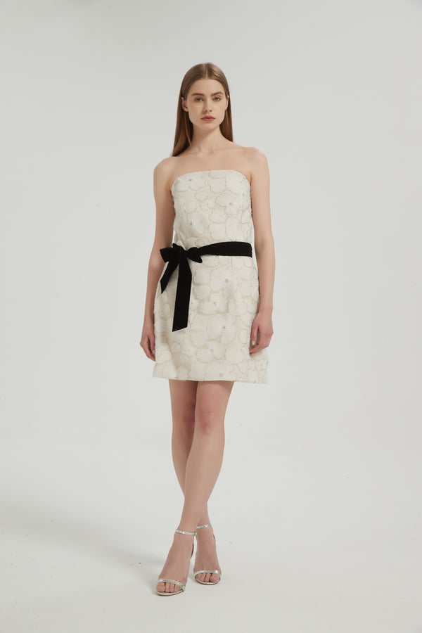 Ali Bustier Mini Dress